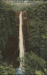 Akaka Falls - Hilo, Hawaii Postcard