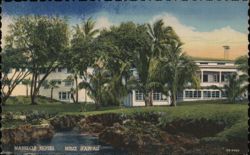 Naniloa Hotel, Hilo, Hawaii Postcard