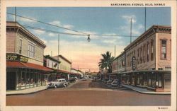 Kamehameha Avenue, Hilo, Hawaii Postcard