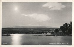 Moonlight in Hilo, Territory of Hawaii Postcard