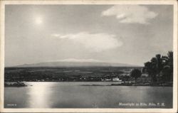 Moonlight in Hilo, Hawaii Postcard