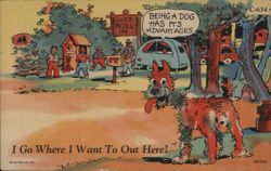 Being a Dog Has Its Advantages Postcard