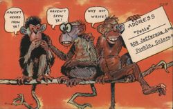 Three Monkeys on a Branch - Haven't Heard, Seen, or Written Postcard