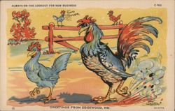 Two Timer Rooster, Greetings from Edgewood, MD Postcard