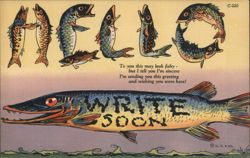 HELLO - Fish Form Letters, Write Soon, Comic Postcard