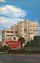 California Home of Budweiser, Anheuser-Busch Inc. Postcard