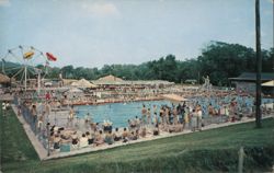 Beech Bend Park Pool Postcard