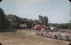 Sportsmen's Park Summer Resort, Rosendale, NY Postcard