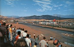 Riverside International Raceway Start/Finish Line Postcard