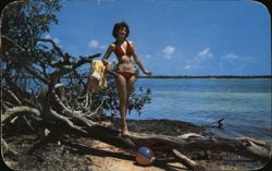 Woman in Red Bikini on Beach, Florida Postcard