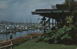 Shelter Island Inn, San Diego, California Postcard