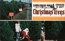 Saddleback Pines Choose & Cut Christmas Trees, Stanton CA Postcard