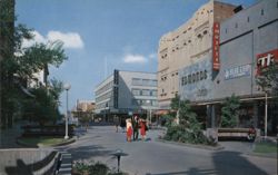 Fulton Mall - Fresno, California - Where the pedestrian is king Postcard