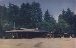 Redwood Lodge & Camp, Big Sur, CA Postcard