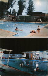 Demetre's Arcadian Swimming School, Arcadia CA Postcard