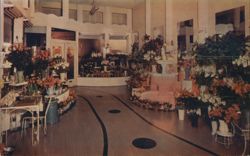 University Flower Shop, Berkeley's Most Modern Florist Postcard