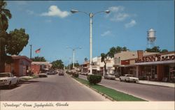 Greetings From Zephyrhills, Florida Postcard