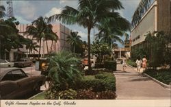 Fifth Avenue Naples on the Gulf, Florida Postcard