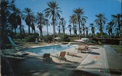 Palm Shadow Motel, Pool and Shuffleboard Court, Indio CA Postcard