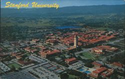 Stanford University Aerial View Postcard