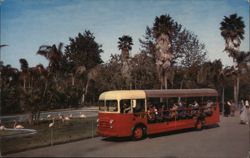 Guided Bus Tour Showing Flamingo Lagoon at San Diego Zoo Postcard