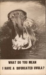 Hippopotamus with Open Mouth: "What Do You Mean I Have a Bifurcated Uvula?" Postcard