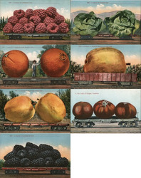 A Carload of Raspberries Postcard