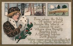 Christmas Greeting for the North Postcard