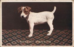 Anybody Want Me? - Jack Russell Terrier Puppy Postcard