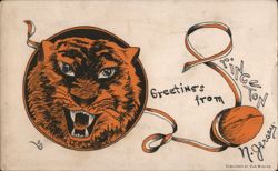 Greetings from Princeton, NJ - Tiger Mascot Postcard