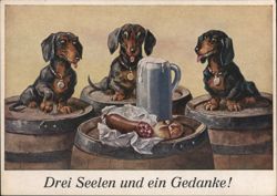 Three Dachshunds with Beer and Sausage Postcard