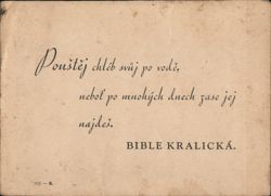 Czech Bible Verse: Cast Your Bread Upon the Waters Postcard