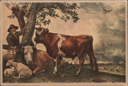 The Young Bull, Paulus Potter Postcard