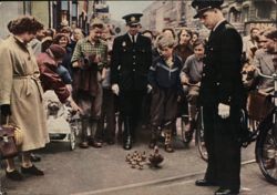 Copenhagen Street Scene - Duck Crossing With Ducklings Postcard