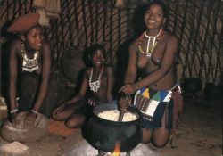 Zulu Women Preparing Evening Meal Postcard