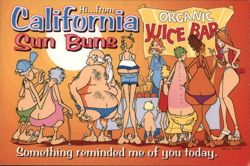 California Sun Buns - Comic Postcard Postcard