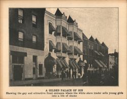 A Gilded Palace of Sin - White Slave Trade Postcard