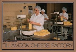 Packaging Cheese at the Tillamook Cheese Factory Postcard