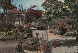 Promenade Gardens, Georgetown, Guyana Postcard