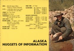 Alaska Nuggets of Information Postcard