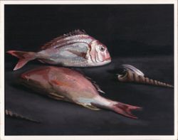 Two Fish, 2002, Oil on Canvas, 11" x 14" Postcard