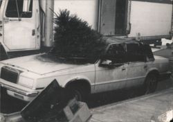 Chrysler New Yorker with Christmas Tree Postcard