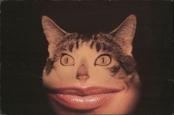 Cat With Human Lips Postcard