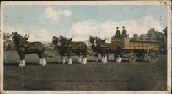 Union Stock Yards Company of Omaha Six Horse Team Postcard