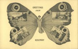 Greetings from Rosemary, Butterfly Montage Postcard