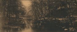 Creek in the Woods Postcard