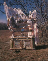 Out Back Whimsical Cabinet in Field Postcard