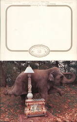 Nellie the Elephant, Bombay Floor Chest Postcard