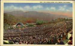 Hollywood Bowl Postcard