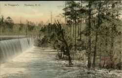 At Thaggard's Pinehurst, NC Postcard Postcard